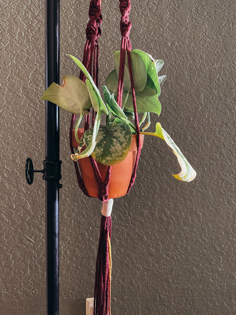 large plant hanger Macrame Plant Hanger | Fiber Art | Large Plant Hanger